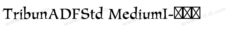 TribunADFStd MediumI字体转换